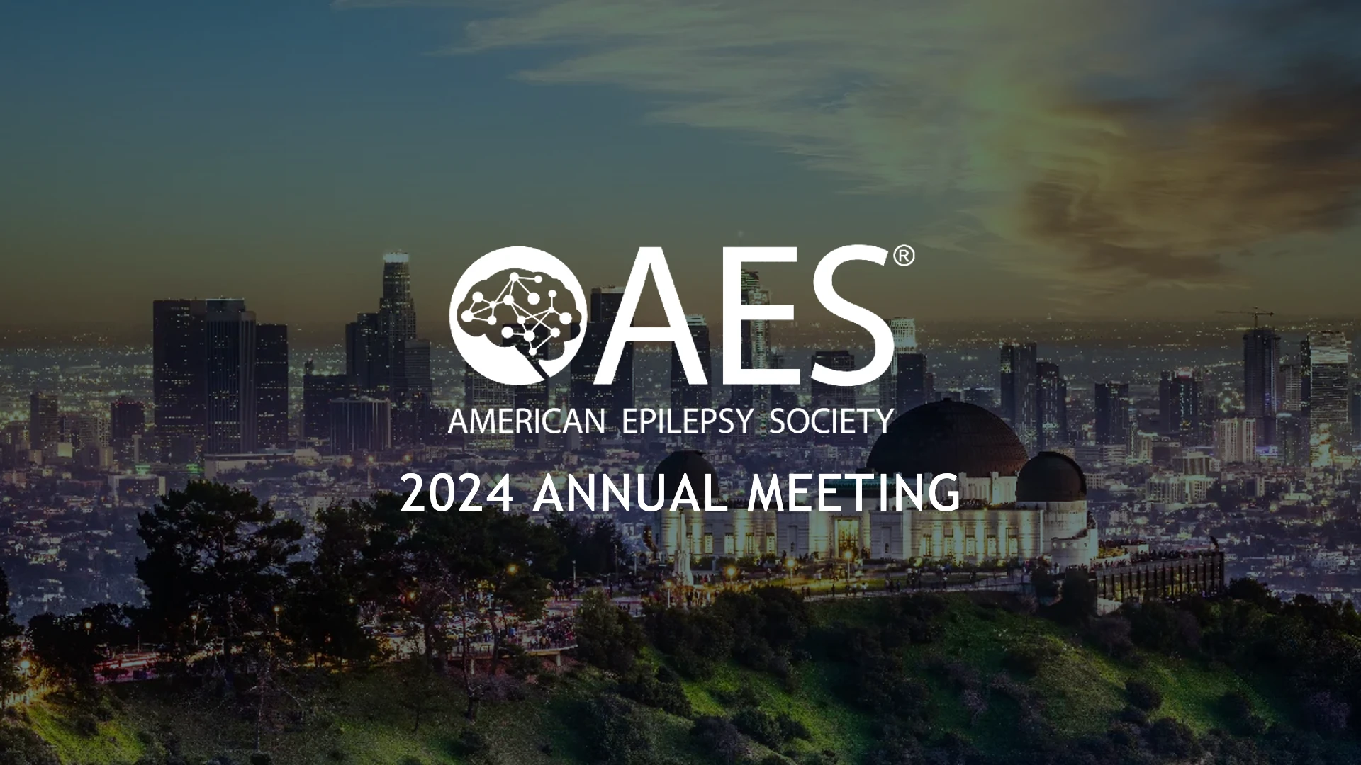 AES Annual Meeting Banner