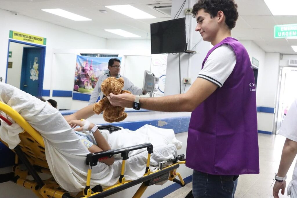 Praying Bears Hospital Bloom Compasion Purpura 05